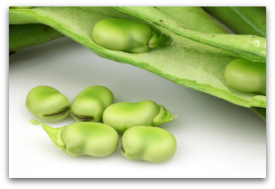 Fresh Broad Beans