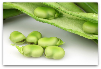 Broad Beans for Bean Salad