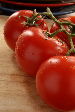 Fresh Ripe Tomatoes