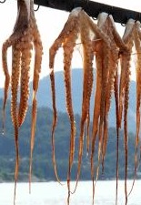 Greek Octopus Hanging to Dry