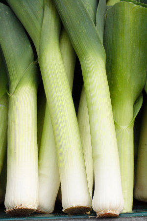 Fresh Leeks