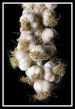 Bunch of Garlic