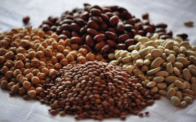 Types of Beans Legumes
