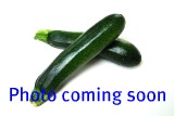 Zucchini